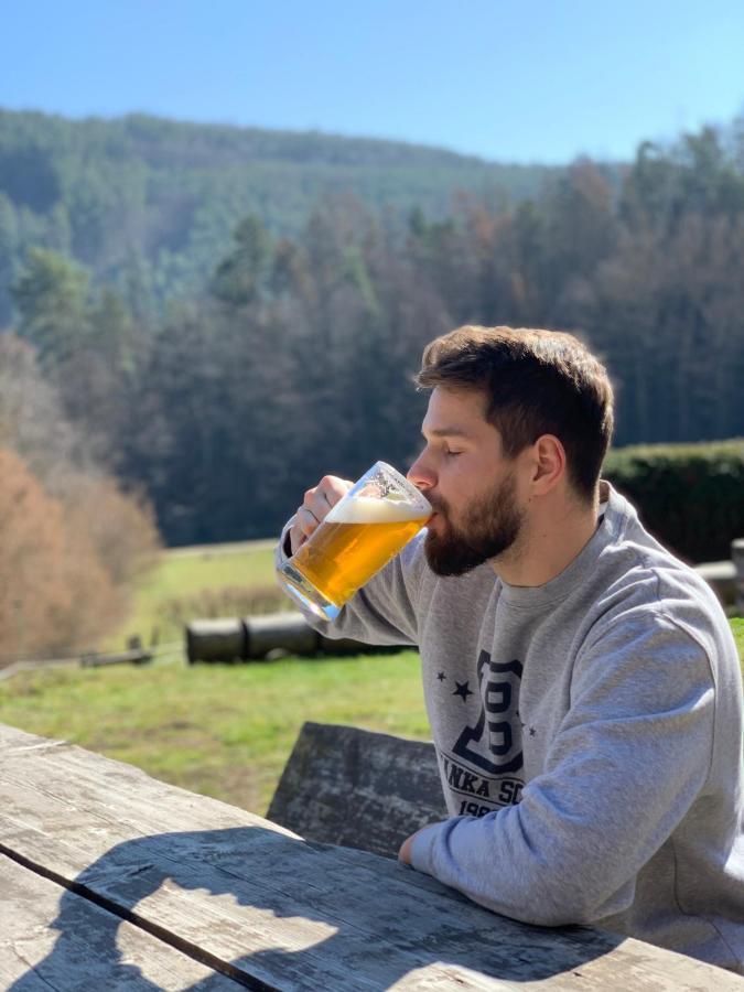 Penzion Pod Kaplickou Tisnov Kültér fotó